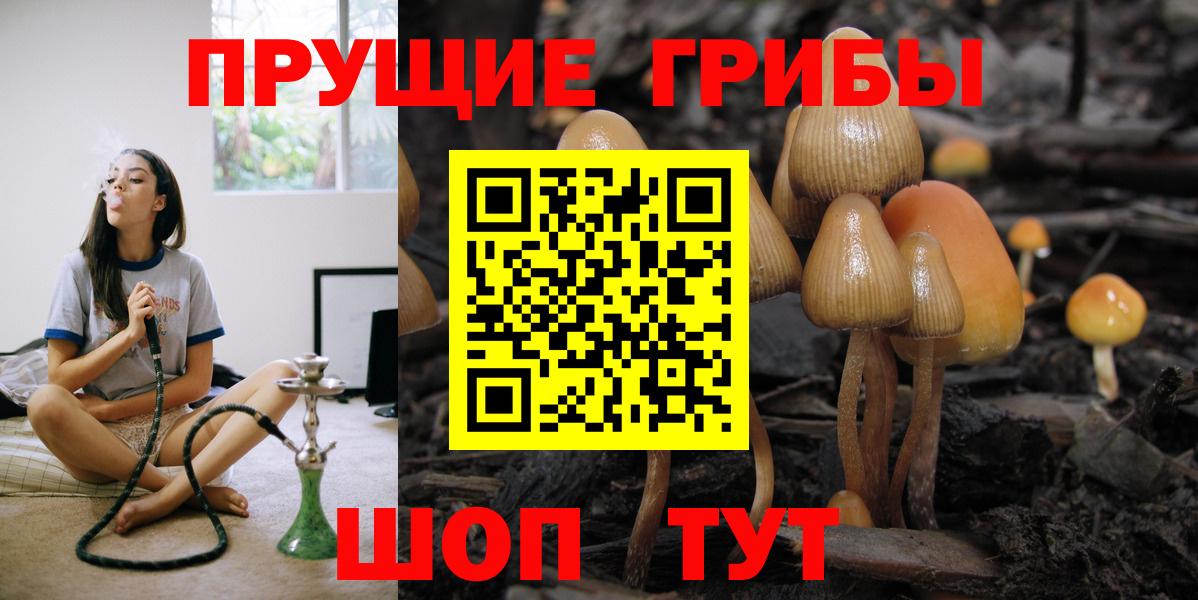 Псилоцибиновые грибы мухоморы  Вход с VPN  Глазов 